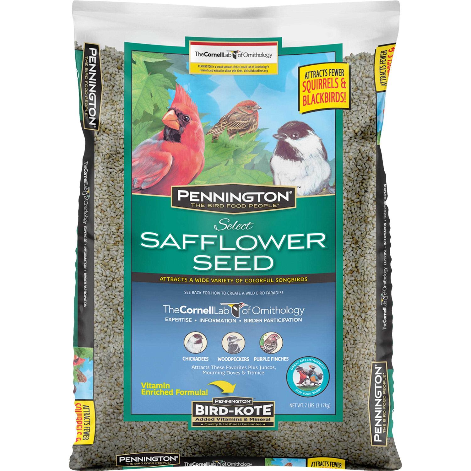 Pennington Select Safflower Seed Wild Bird Feed & Seed