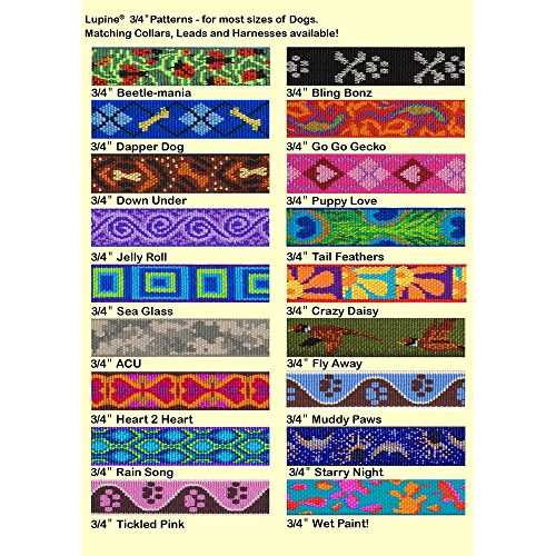 Original Designs Dog Collar