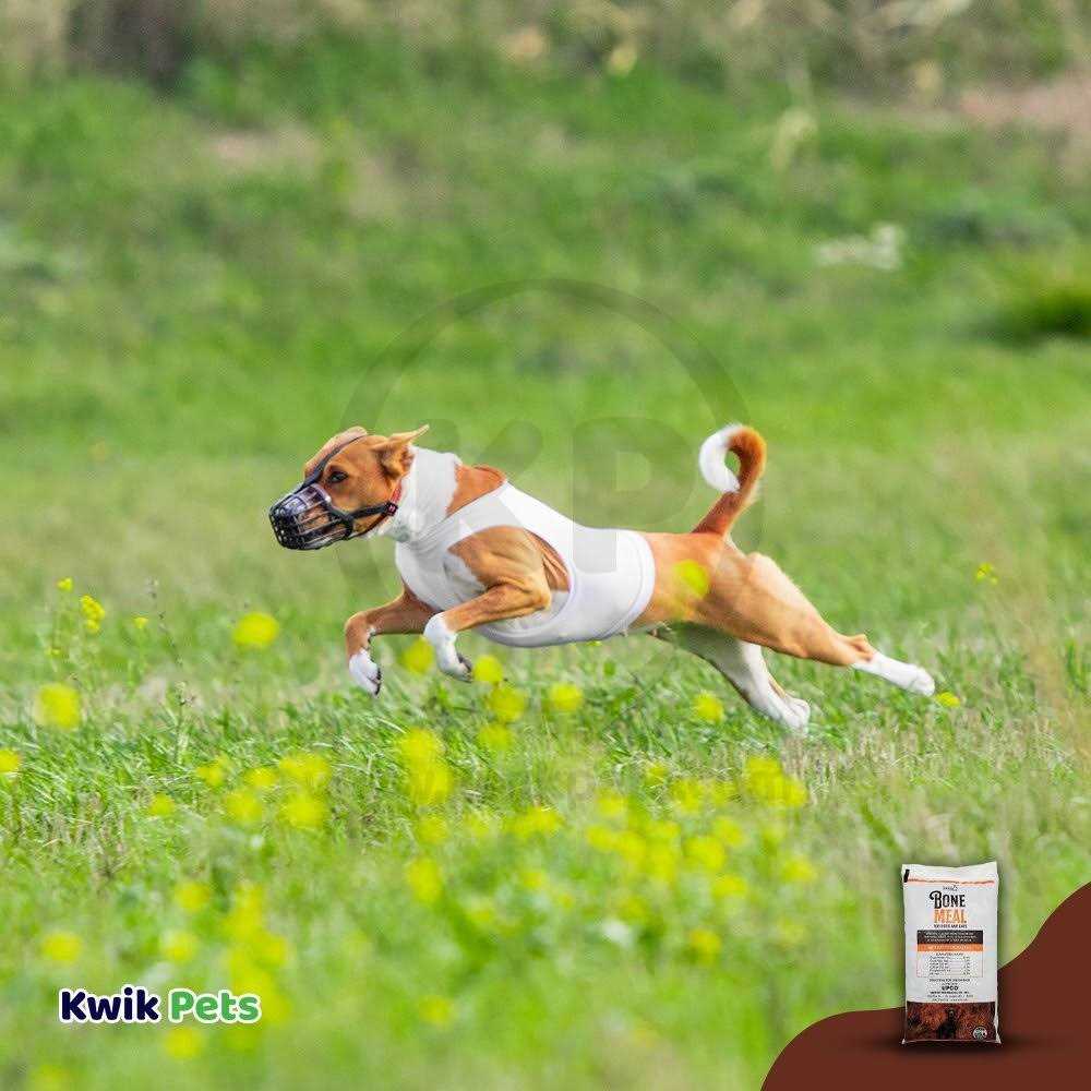 Upco Bone Meal Supplement for Dogs and Cats