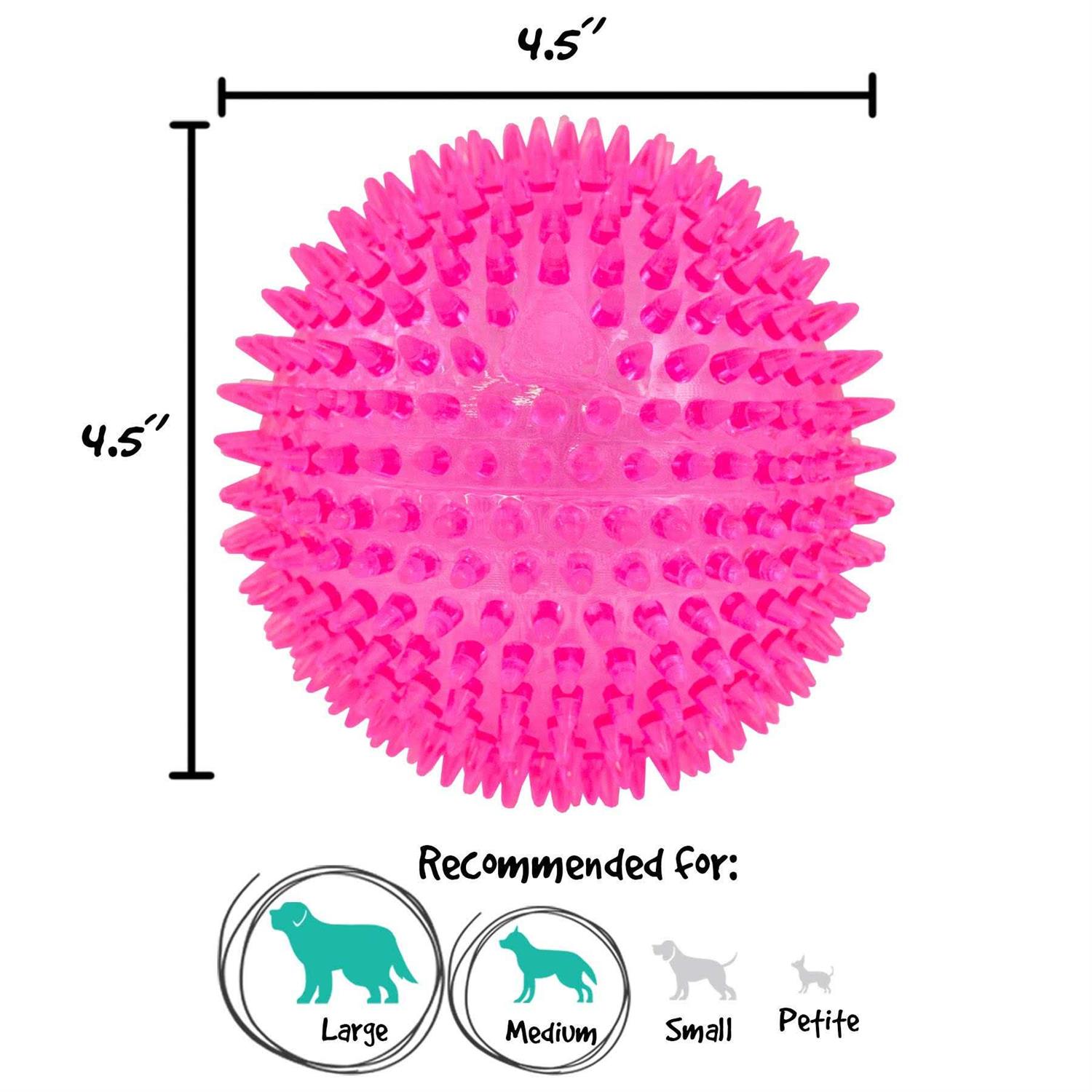 Gnawsome Squeaker Ball Dog Toy