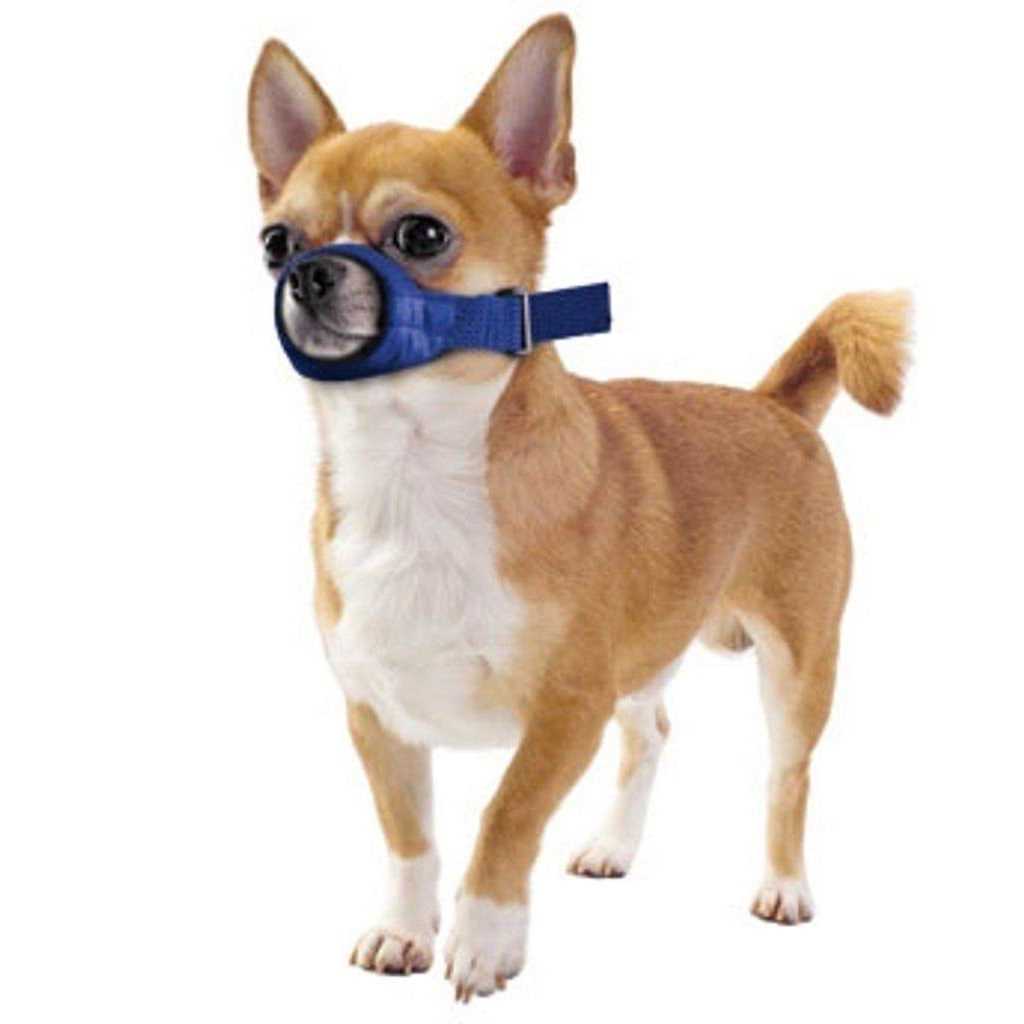 Four Flags Quick Muzzle Xxs