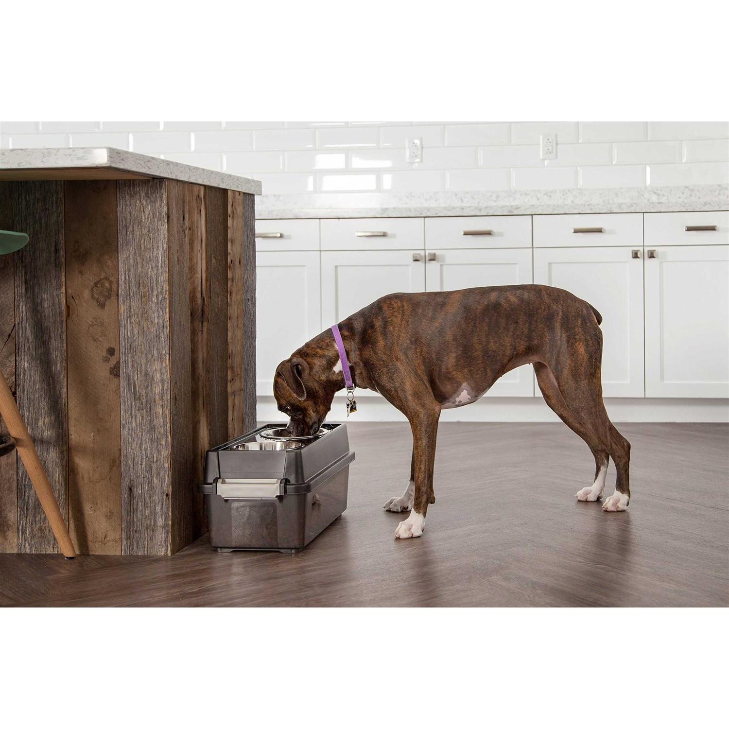 Iris Elevated Feeder with Airtight Storage