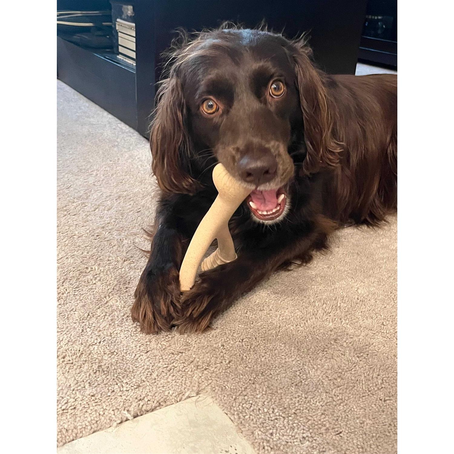 BetterBone Tough Dog Chew Beef