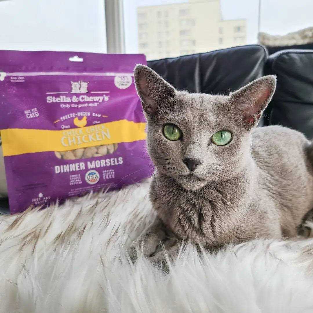 Stella & Chewy’s Freeze-Dried Cat Dinner