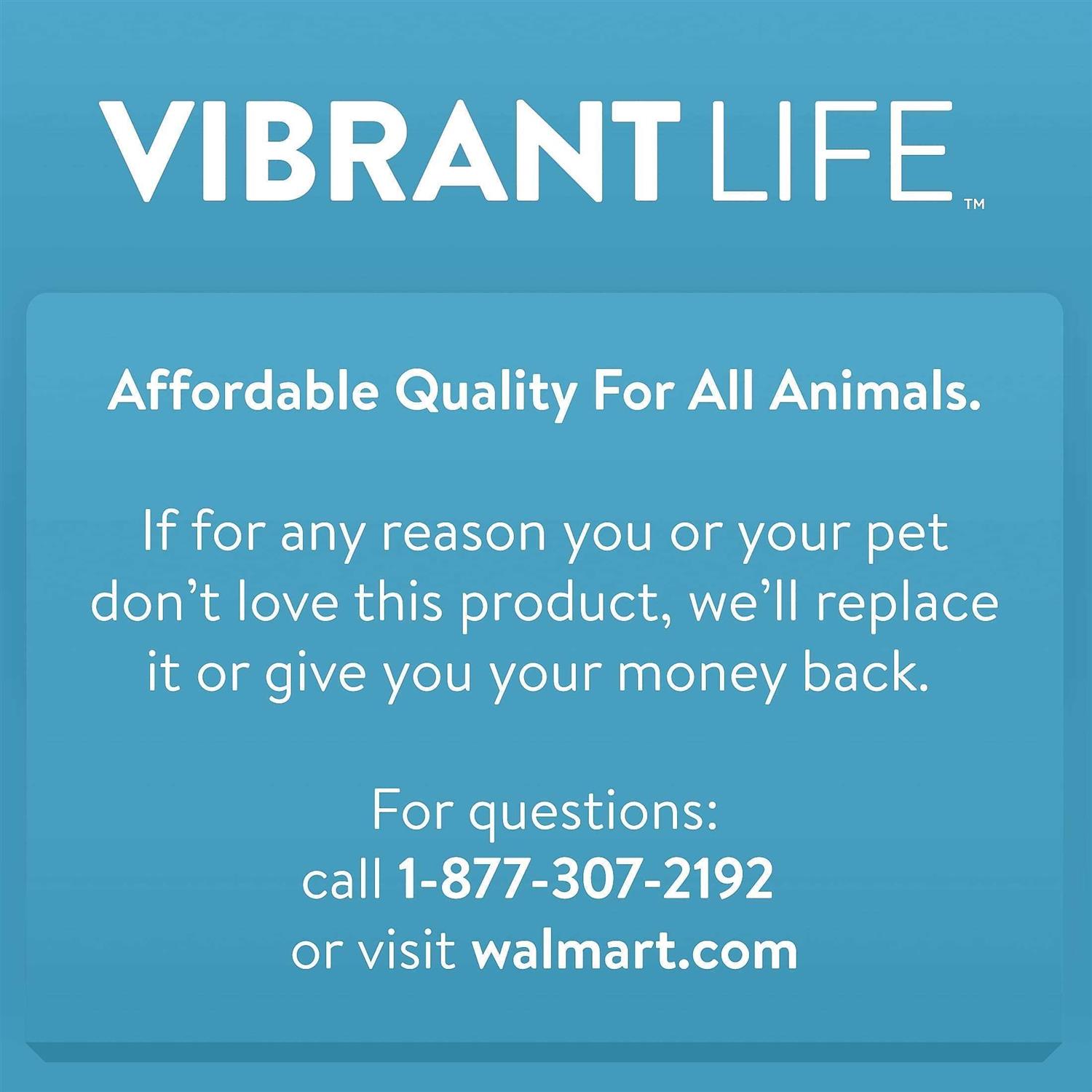Vibrant Life Lounger Pet Bed