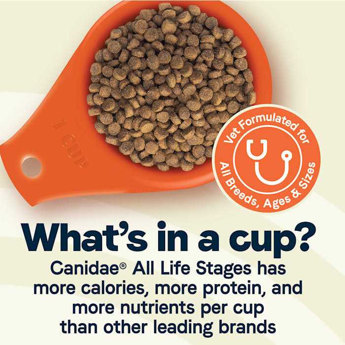 Canidae All Life Stages Large Breed Dog Dry Food Turkey Meal Brown Rice Formula