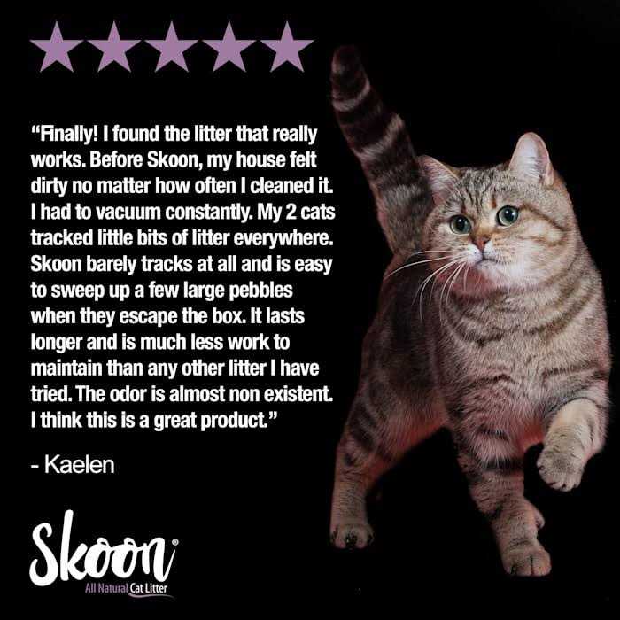 Skoon All-Natural Cat Litter Light-Weight, Non-Clumping, Low Maintenance, Eco-Friendly