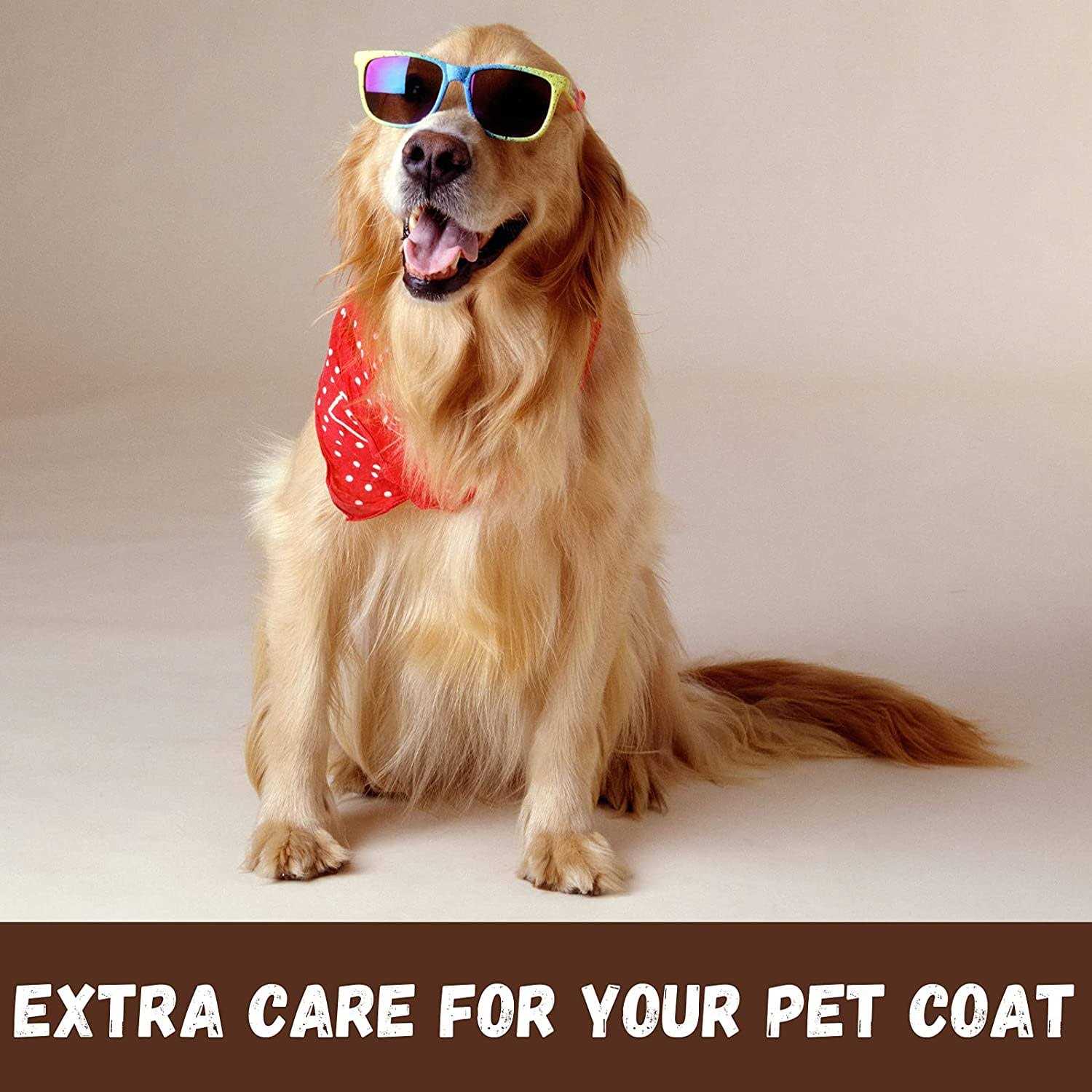 Bio-Groom Coat Polish Spray On Sheen