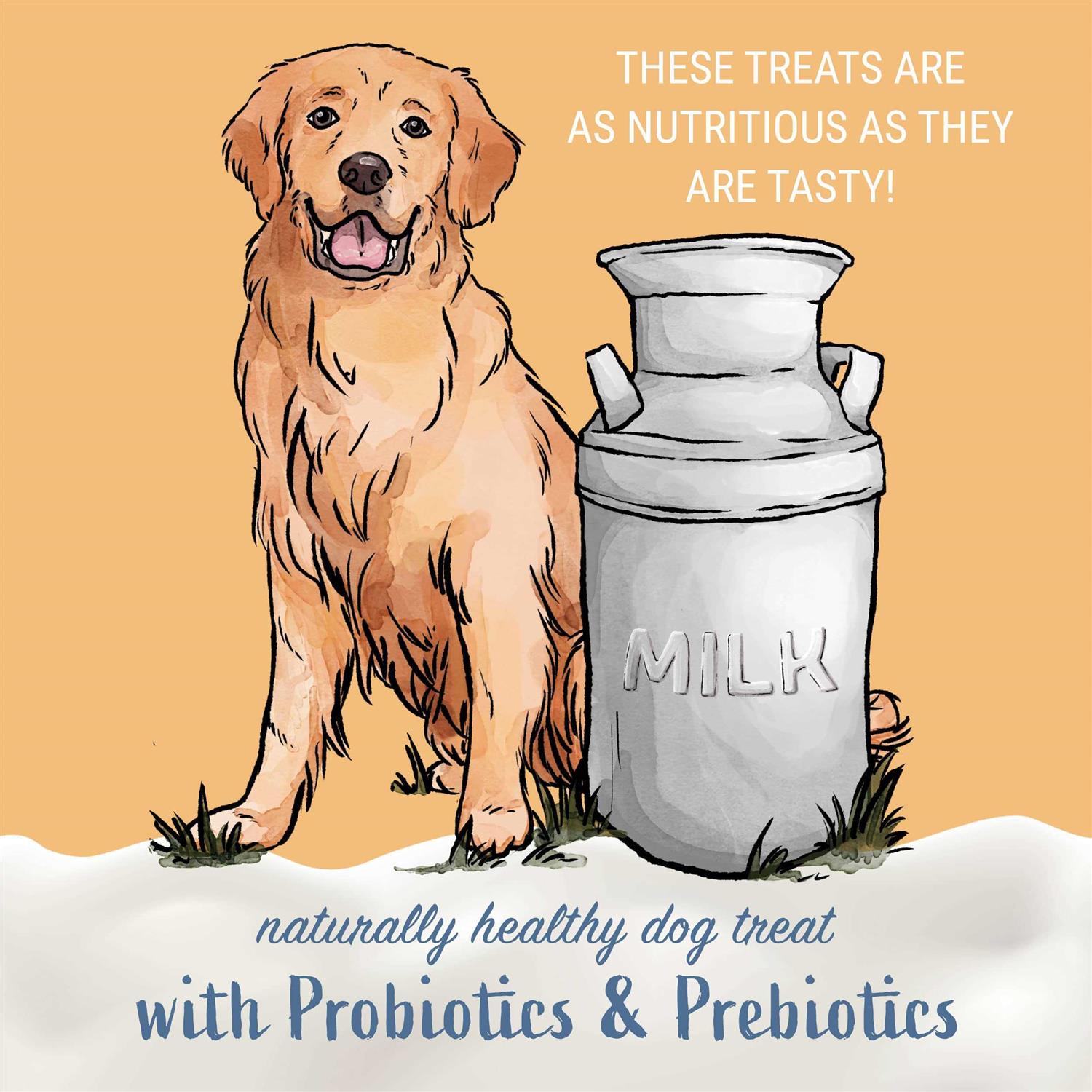 Himalayan Dog Chew Yogurt Sticks Peanut Butter for Dogs, 4.8 oz., Count of 6