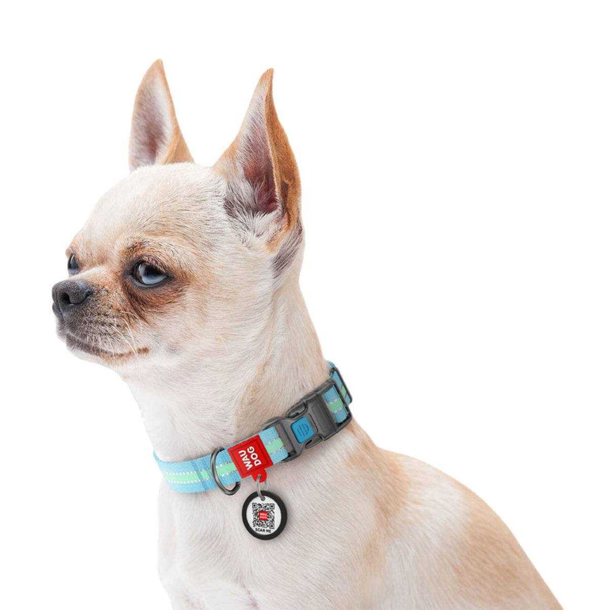 WAUDOG Glow in the Dark QR Passport Nylon Standard Dog Collar Blue