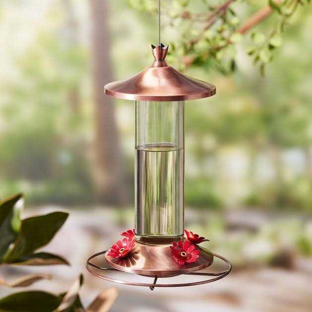 Hummingbird ElectroNectar Kaytee