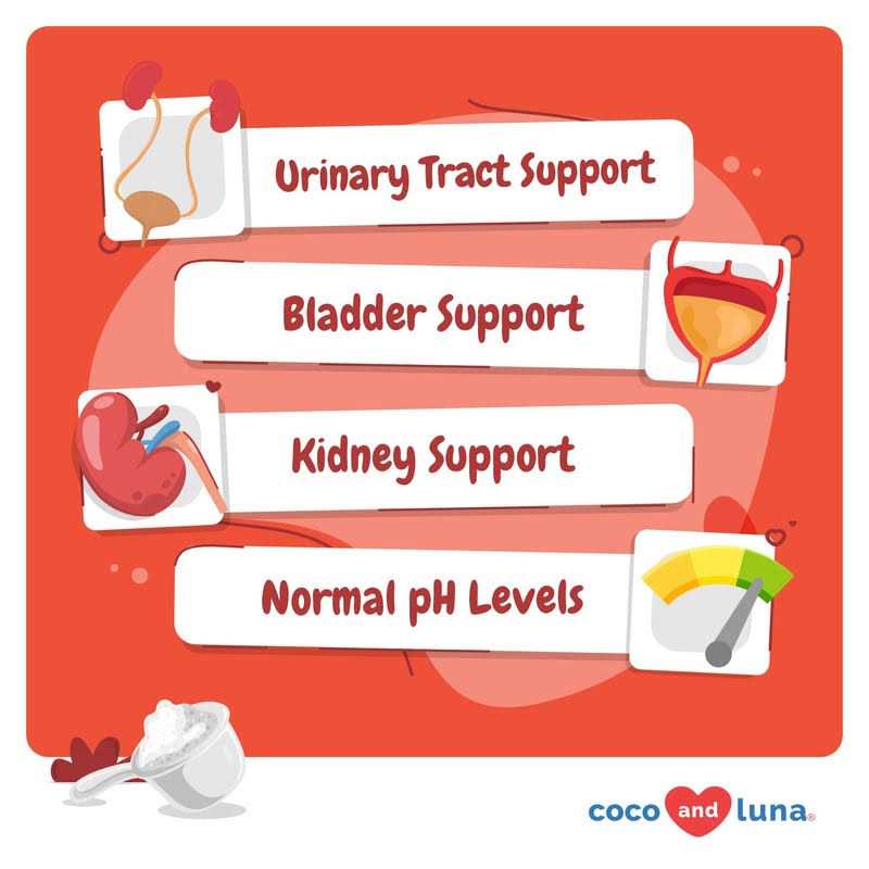 Coco and Luna Cranberry Incontinence & Urinary Tract Support Powder Supplement for Cats