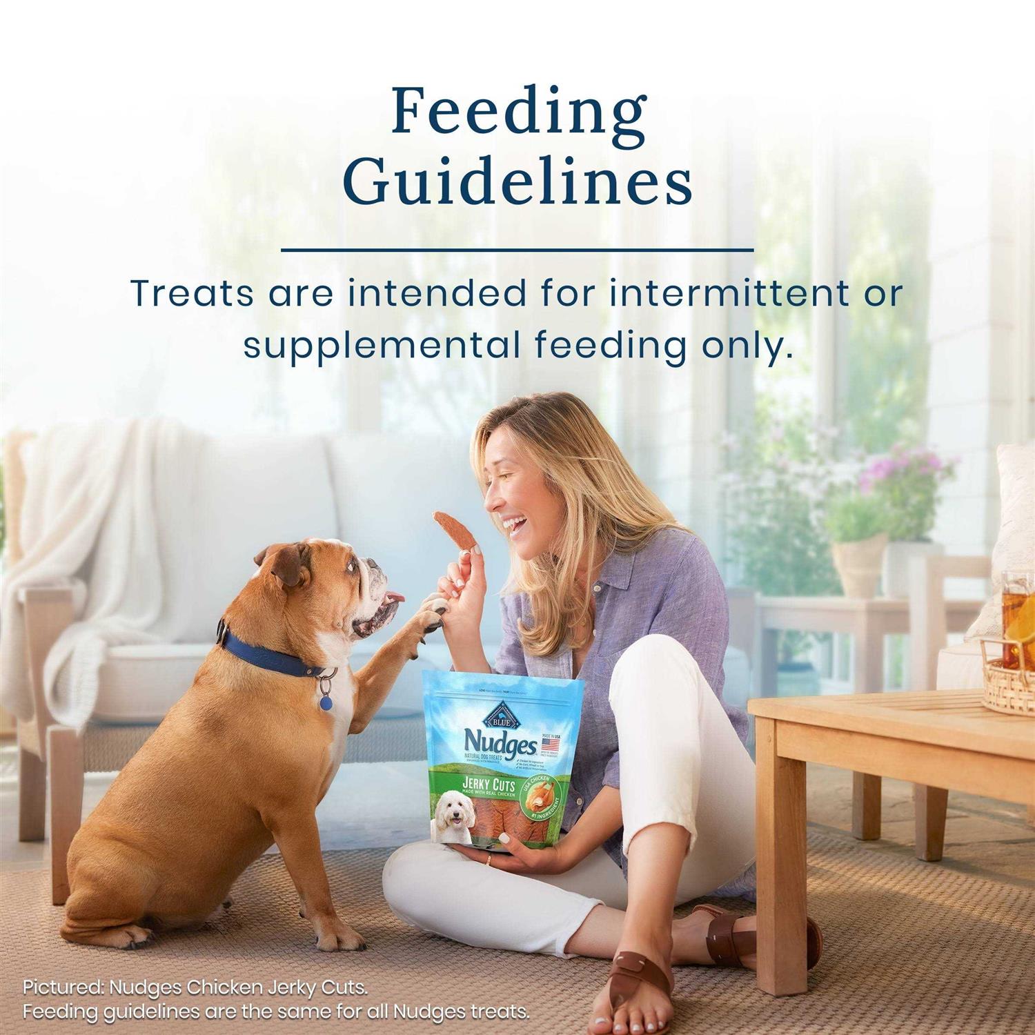 Blue Buffalo Nudges Homestyle Chicken Natural Dog Treats