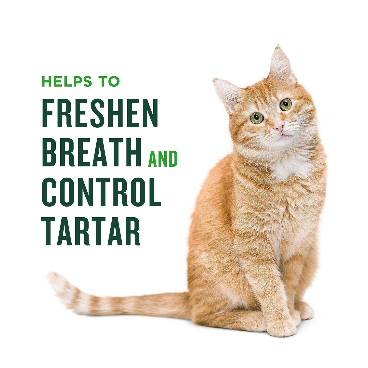 VetIQ Minties Dental Treats for Cats
