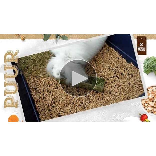 Witte Molen Pure Hamster Food Seed Mixture Mealworms Sunflower Seeds