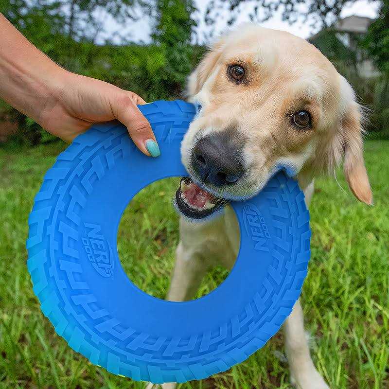 Nerf Dog Flyer Tire Dog Toy