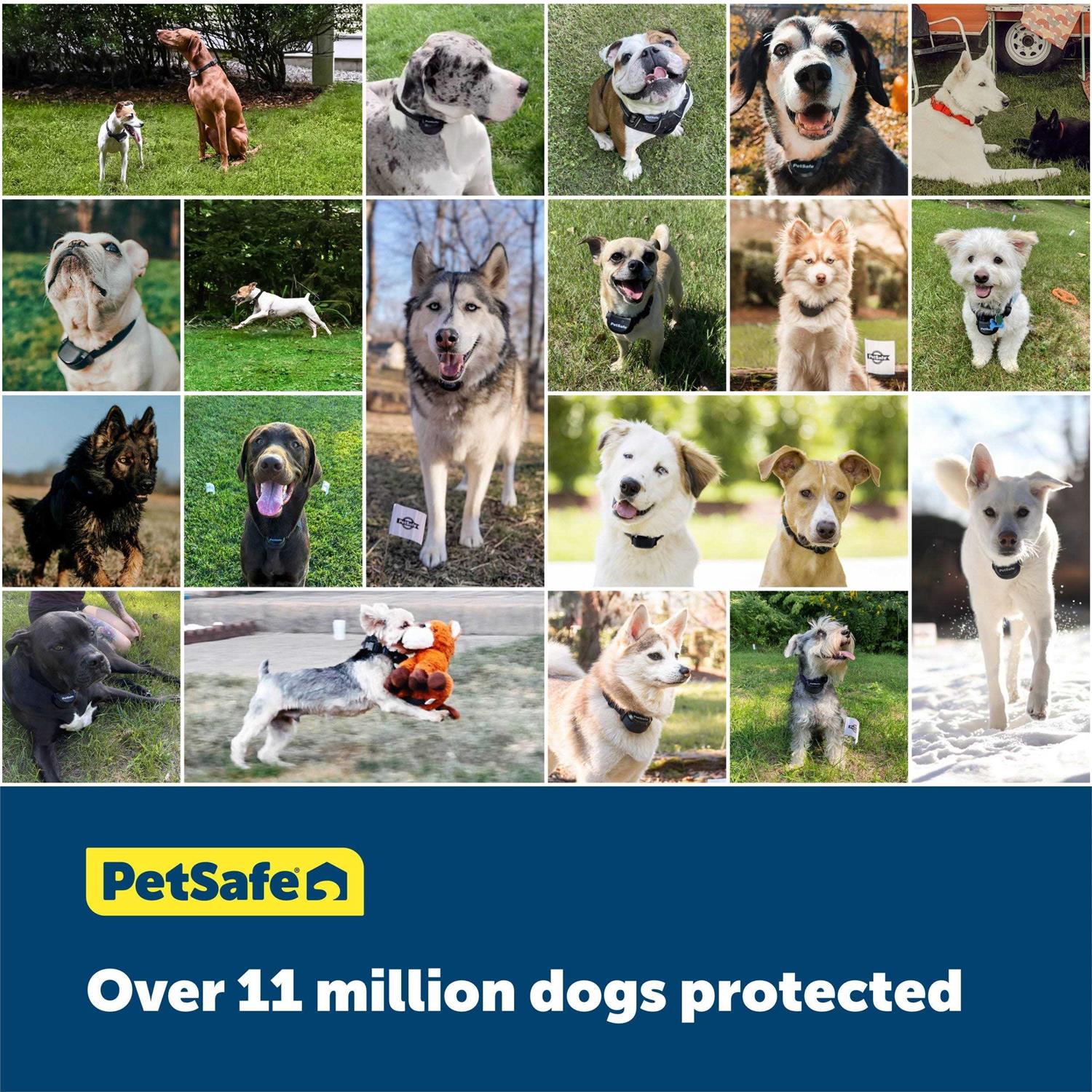 PetSafe Pawz Away Outdoor Pet Boundary Wire