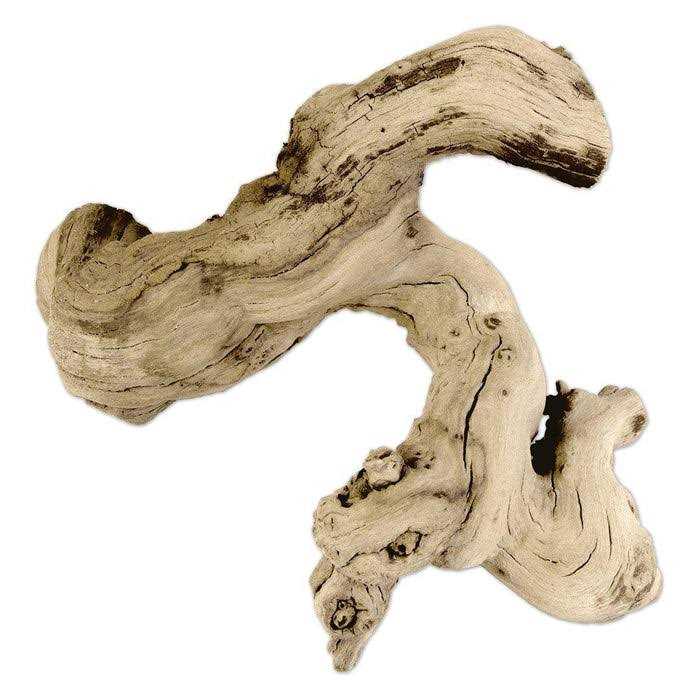 Koyal Wholesale Grapewood Branch