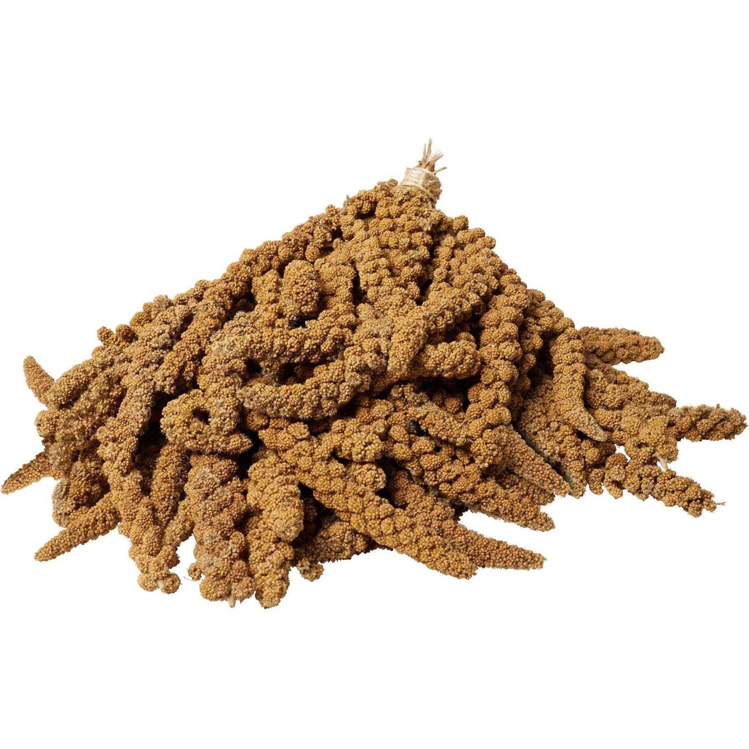 F.M. Browns Millet Spray