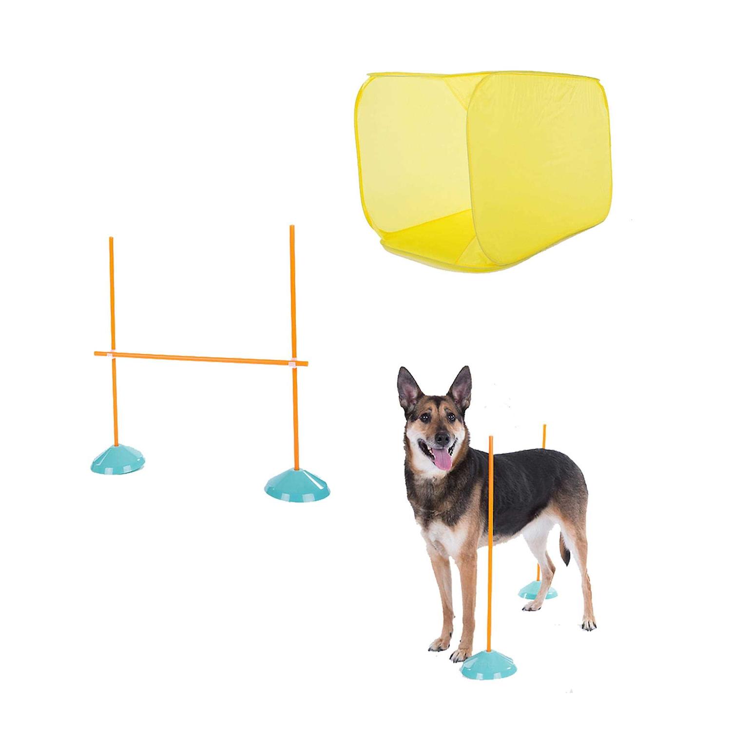 Outward Hound Indoor Dog Agility Kit