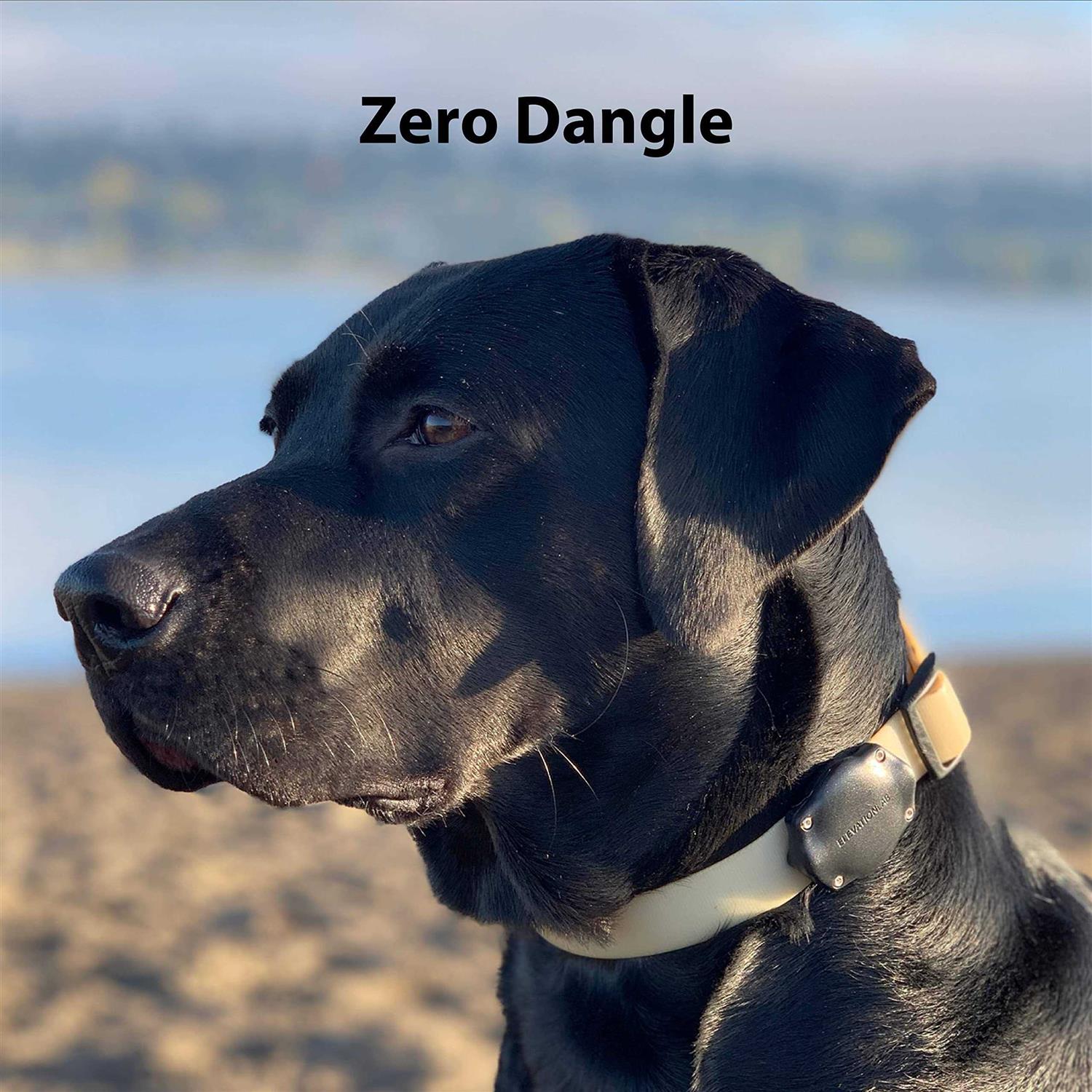 Elevation Lab TagVault Pet The Original AirTag Dog Collar Waterproof Mount