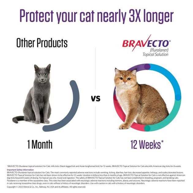 6.2-13.8 lbs Bravecto Topical Solution for Cats