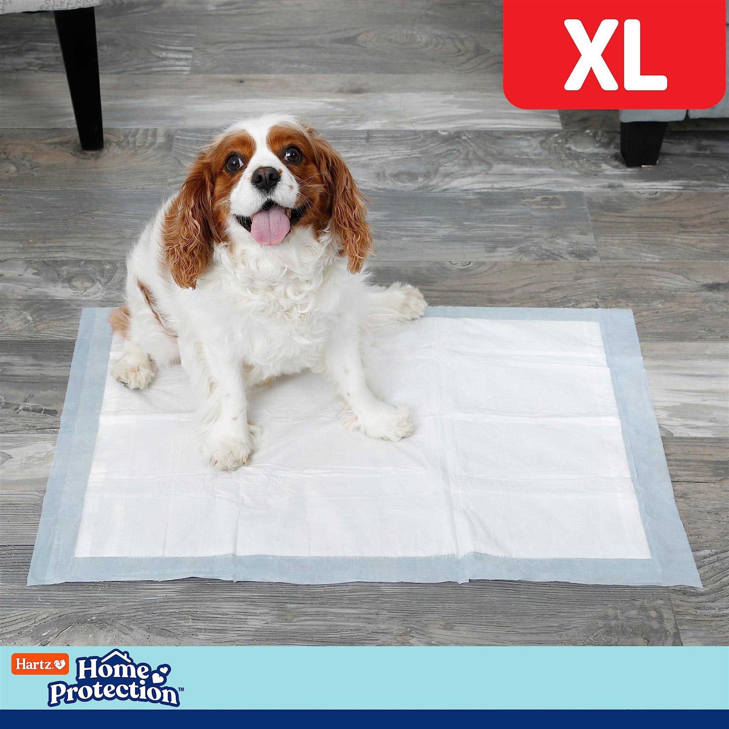 Hartz Home Protection Mountain Fresh Scent Eliminating Dog Pads