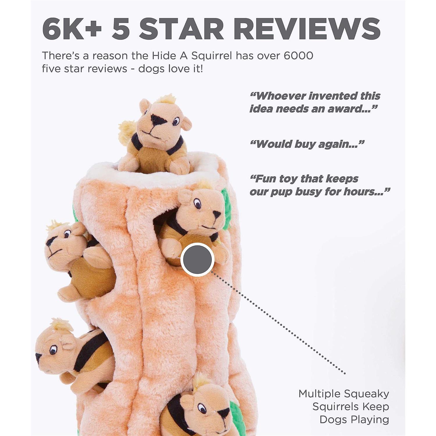 Outward Hound Hide A Squirrel Dog Toy