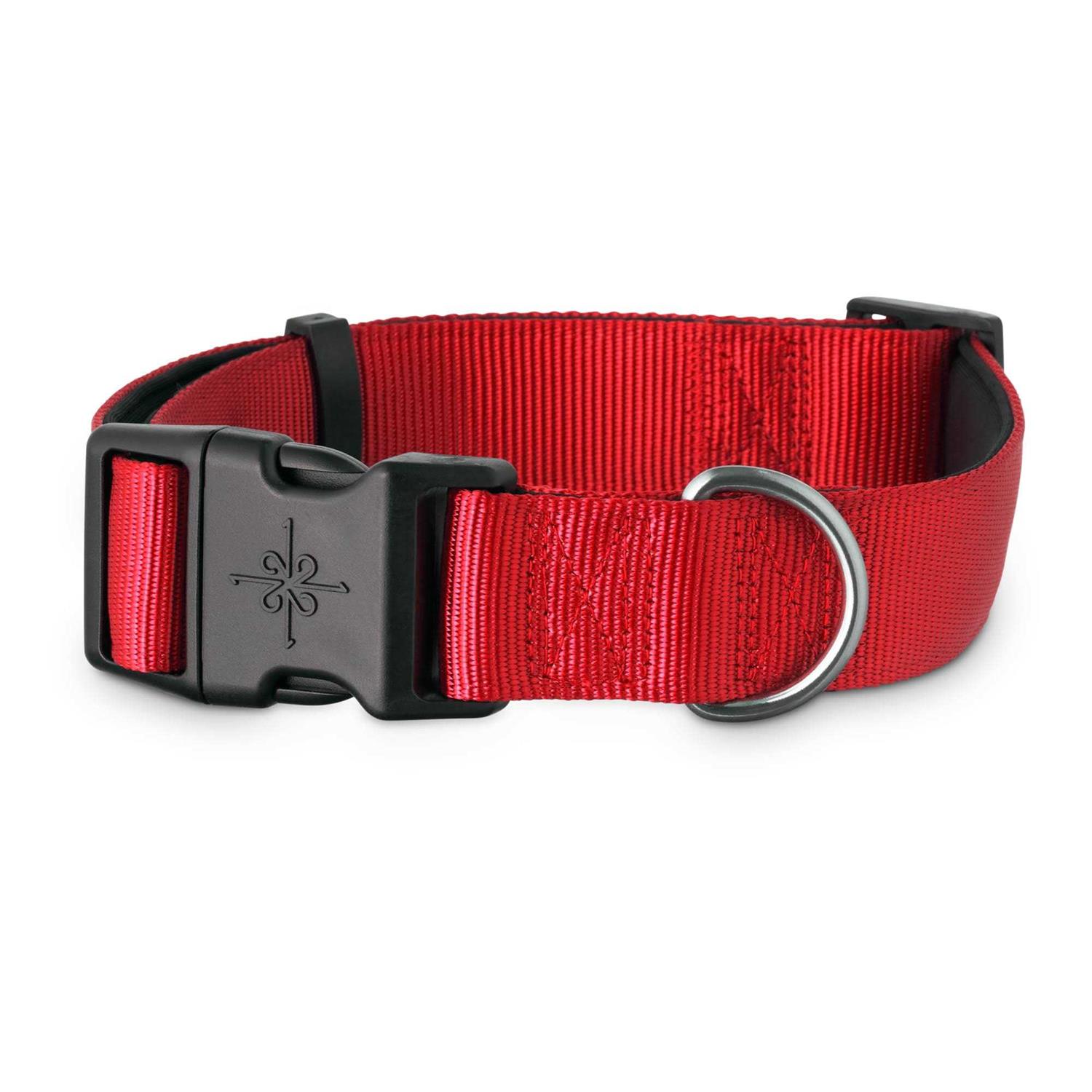 YOULY Neoprene Padded Dog Collar