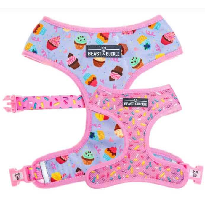 Beast & Buckle Reversible Dog Harness