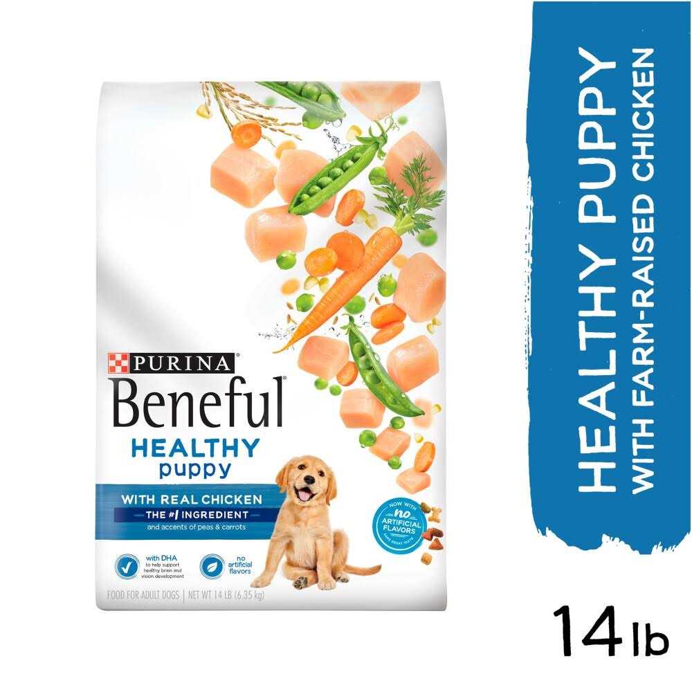 Purina Beneful Healthy Puppy Chicken Dry Dog Food