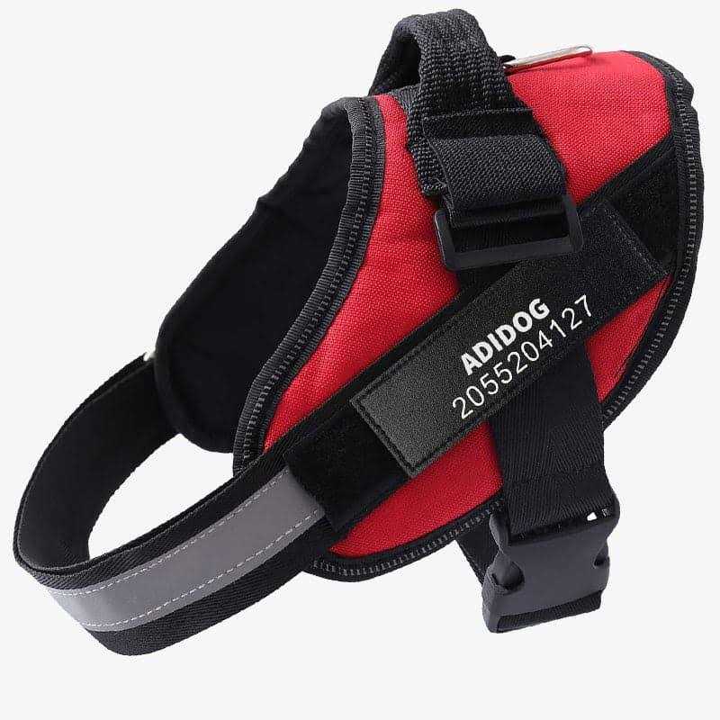 PawPawify Lifetime Warranty Personalized Easy-On No Pull Dog Harness