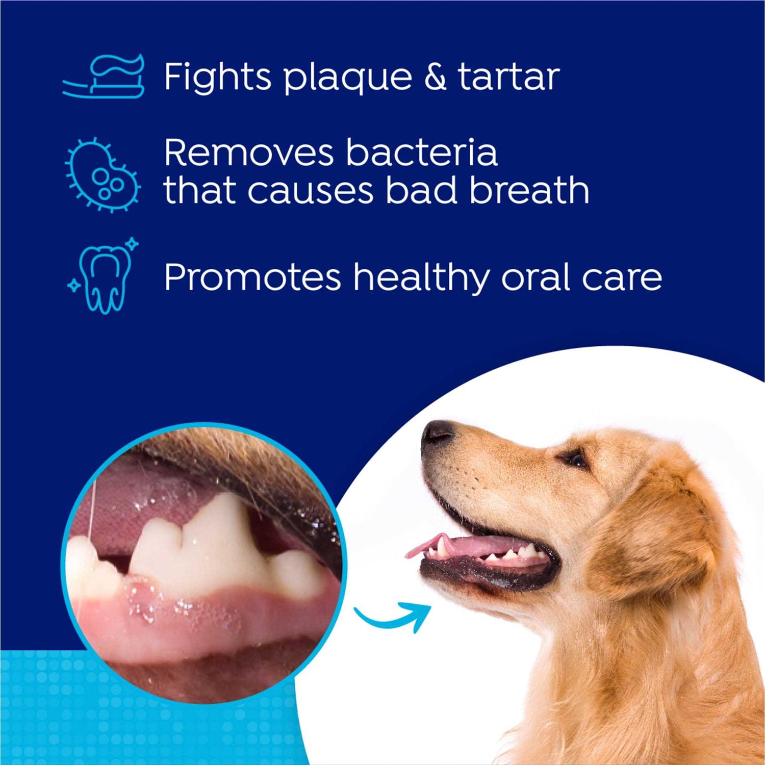 Naturel Promise Fresh Dental Dog Breath Freshener Water Additive for Dogs