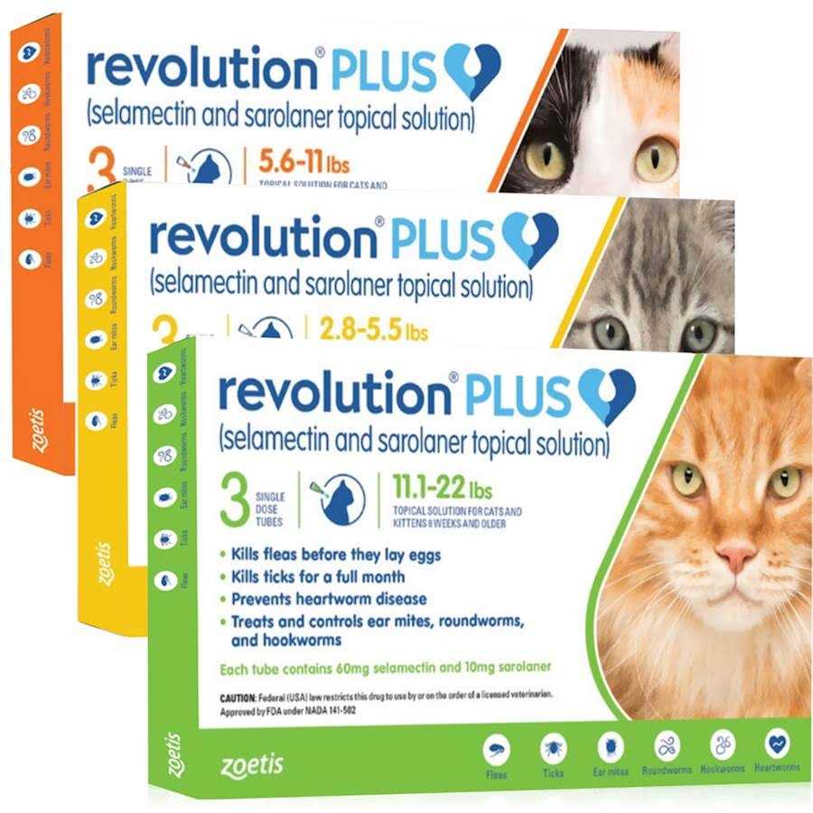 Revolution Plus for Cats 11.1