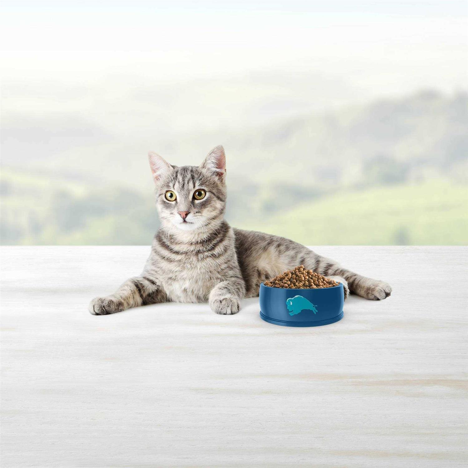 Blue Indoor Hairball Control Adult Dry Cat Food