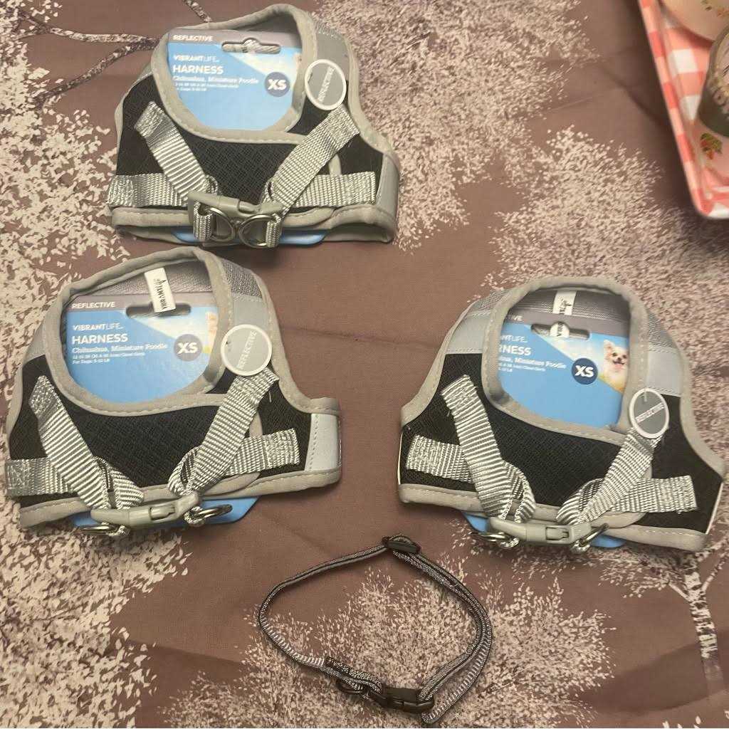 Vibrant Life Dog Harness