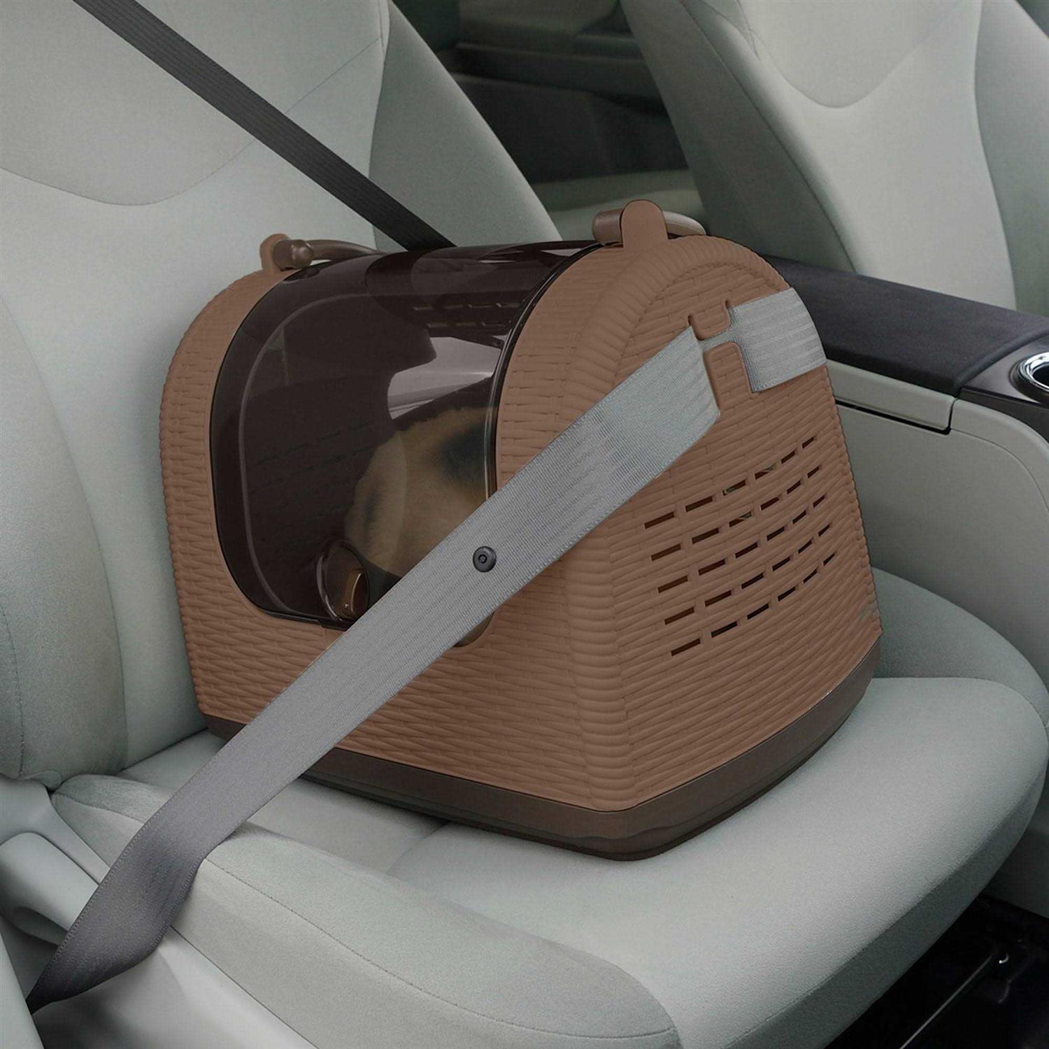Richell Faux Wicker Pet Carrier