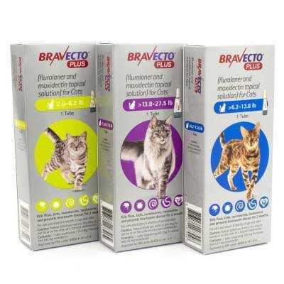 Bravecto Plus Topical Solution for Cats