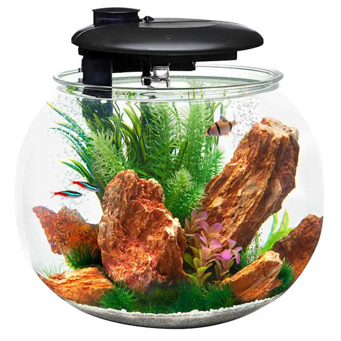 Penn-Plax AquaSphere 360 Polycarbonate Bowl-Shaped Aquarium 24 Gallons