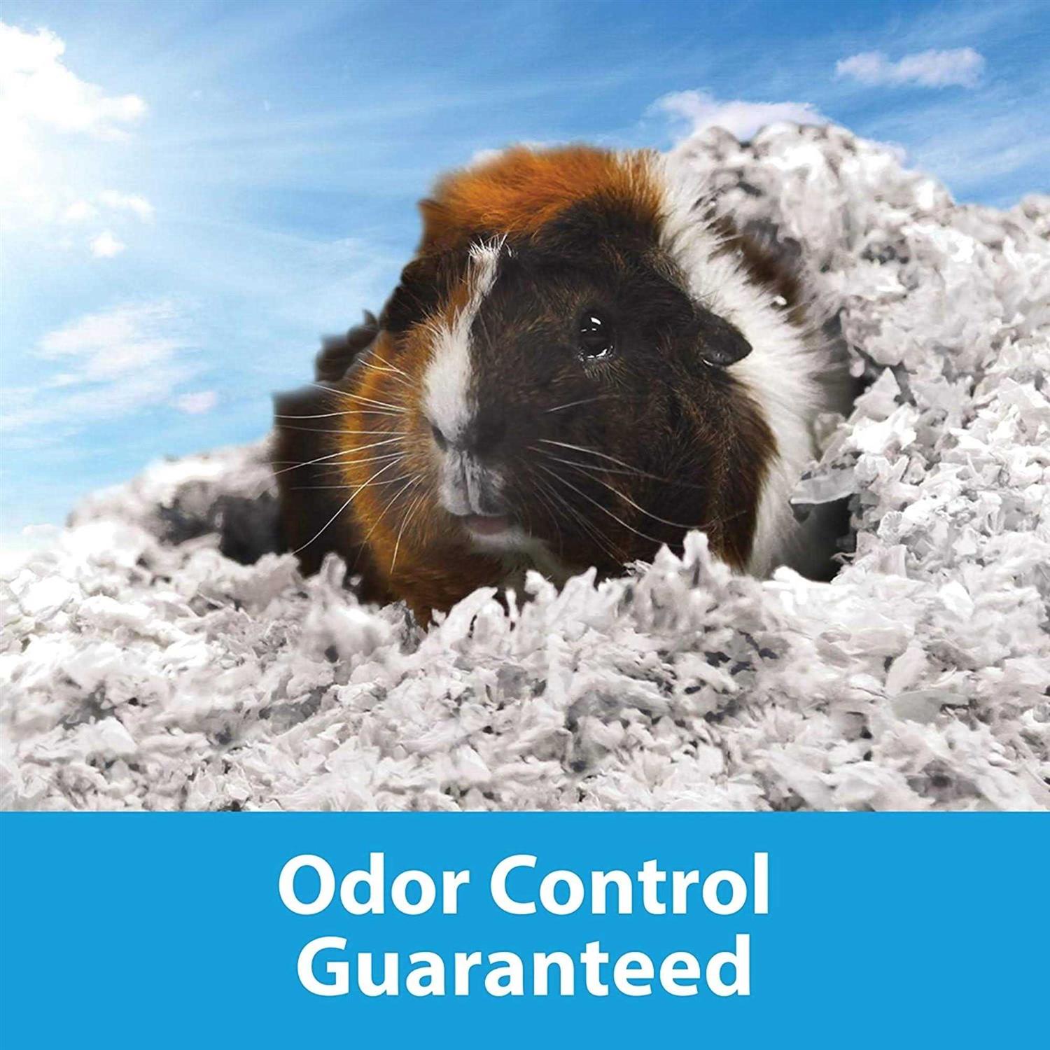 Kaytee Clean Cozy Small Bedding