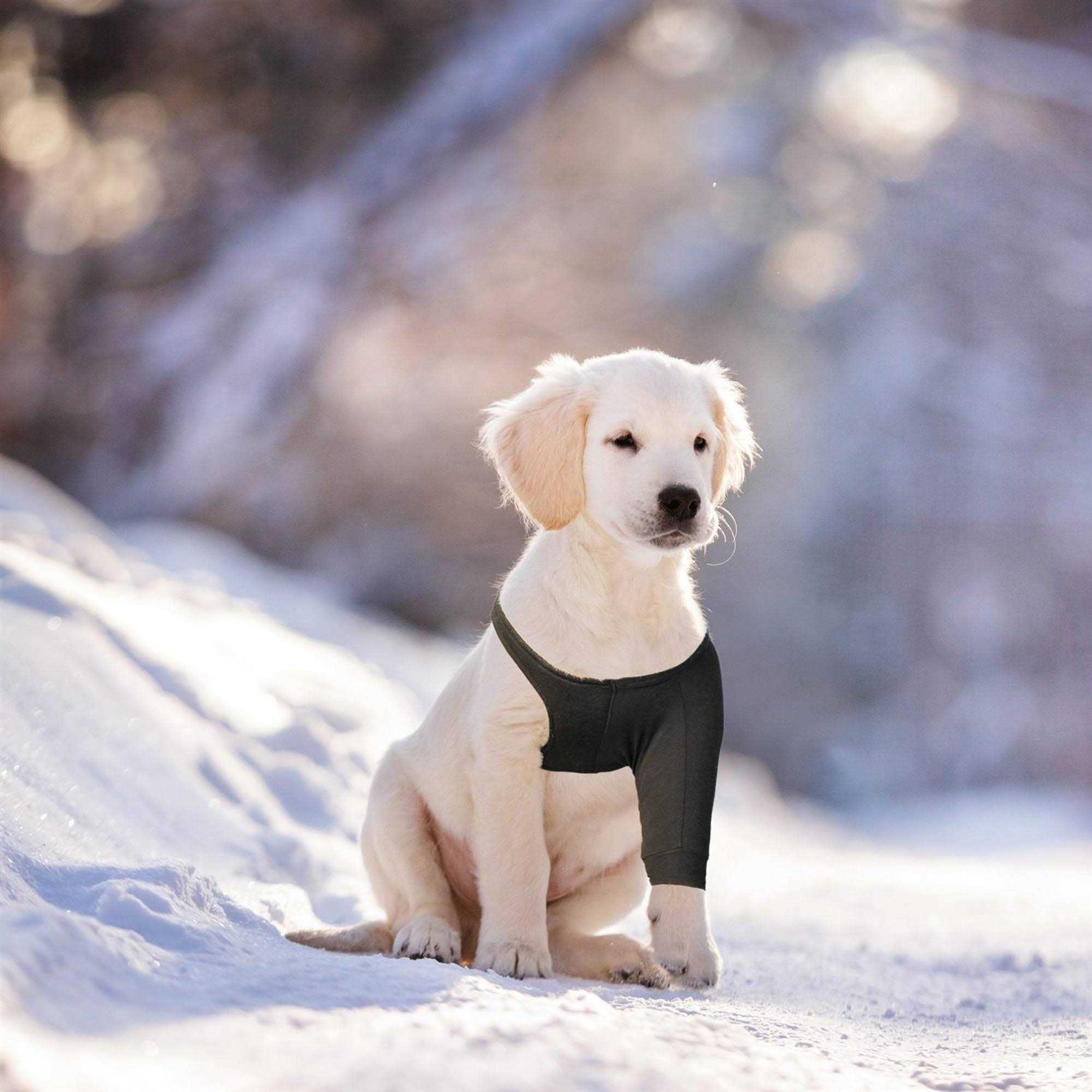 Suitical Dog Recovery Sleeve