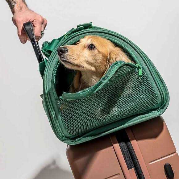 Wild One Travel Carrier