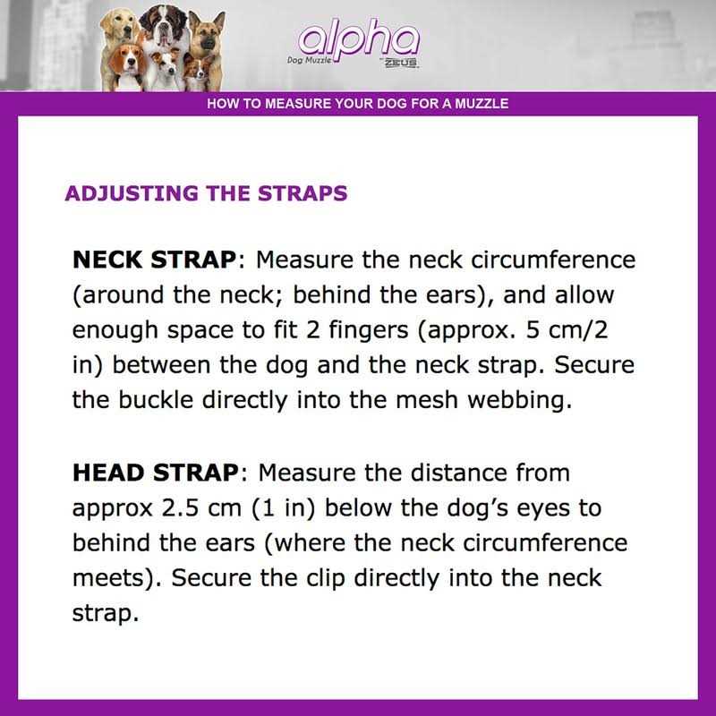 Alpha Zeus Dog Muzzle