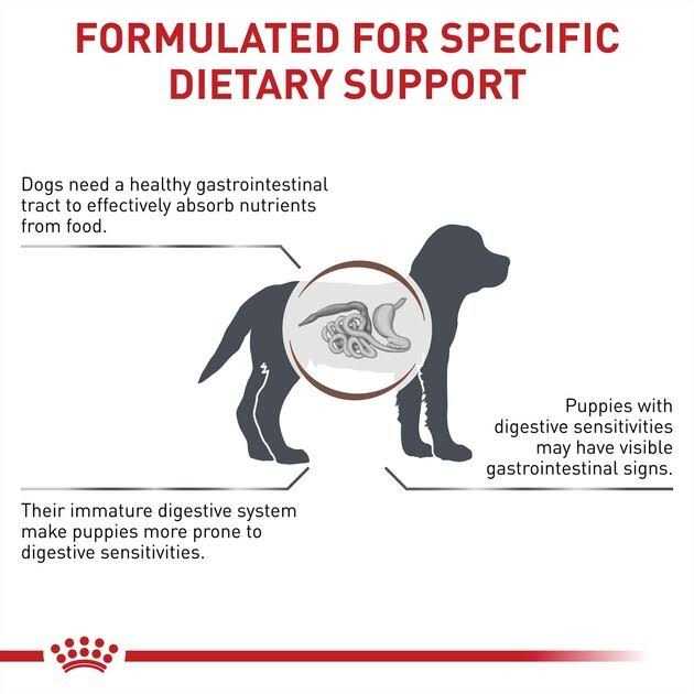 Royal Canin Veterinary Diet Gastrointestinal Puppy Ultra Soft Mousse in Sauce Canned Dog Food