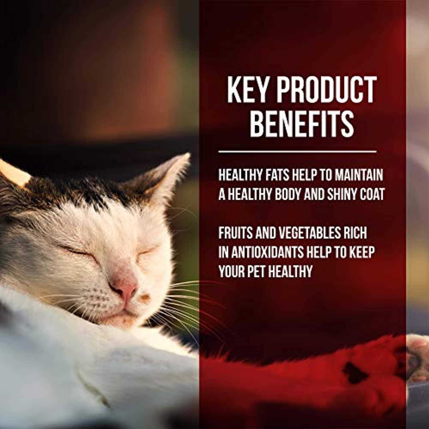 Fussie Cat Dry Cat Food Market Fresh Chicken Turkey