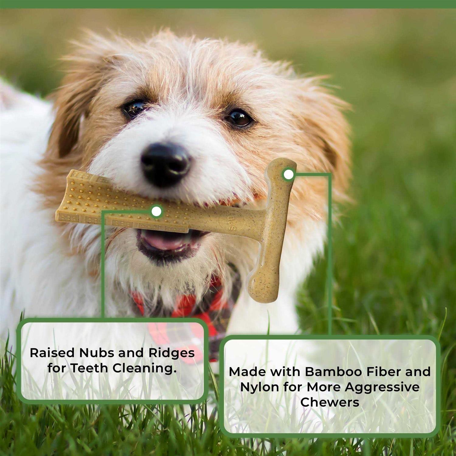 Spot 6-inch Chicken Bambone Plus Dog Chew