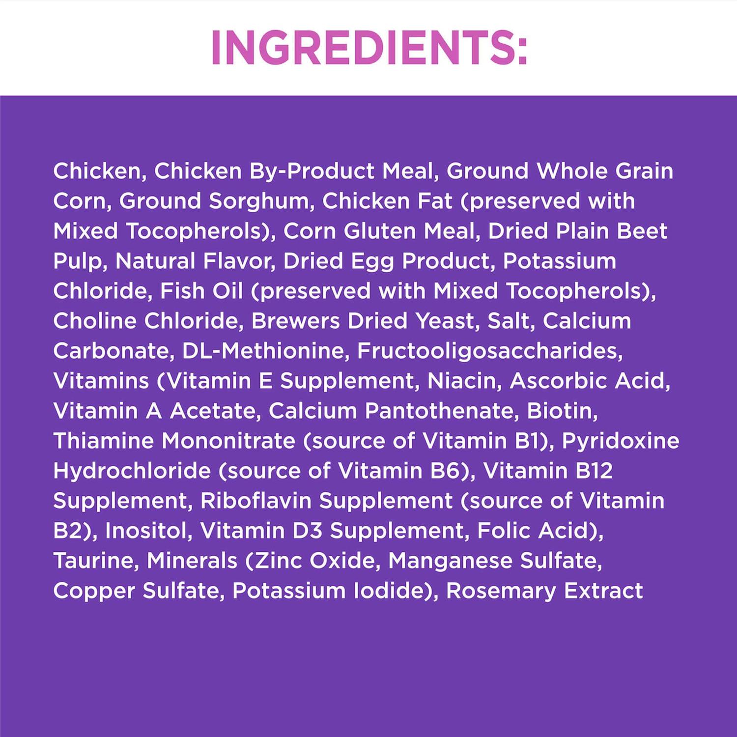 Iams ProActive Health Dry Kitten Food