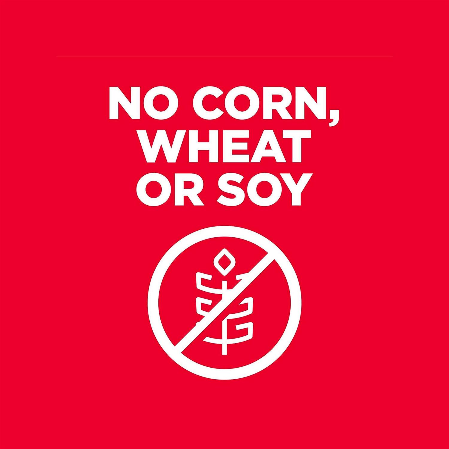 Hill’s Science Diet Senior 7+ No Corn, Wheat or Soy Dry Dog Food