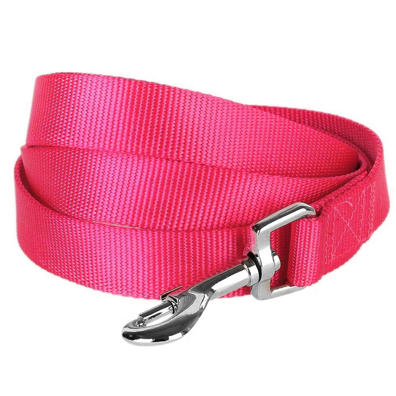 Blueberry Pet Classic Dog Leash