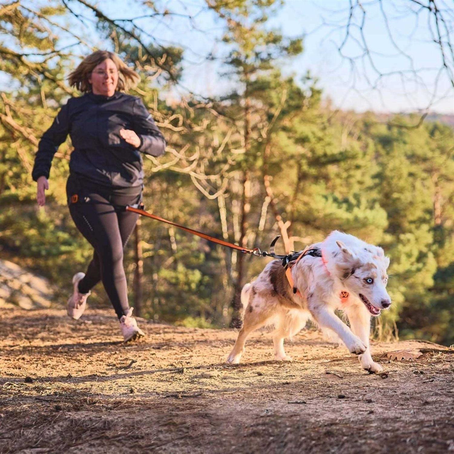 Non-Stop Dogwear Freemotion Harness 5.0